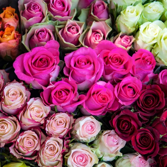 Meet your Posher, Chantel - Picture 1 of 1